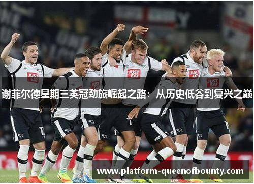 谢菲尔德星期三英冠劲旅崛起之路:从历史低谷到复兴之巅 谢菲尔德星期三英冠劲旅崛起之路:从历史低谷到复兴之巅