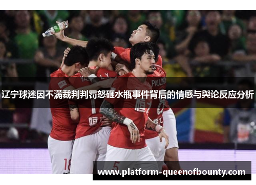 辽宁球迷因不满裁判判罚怒砸水瓶事件背后的情感与舆论反应分析