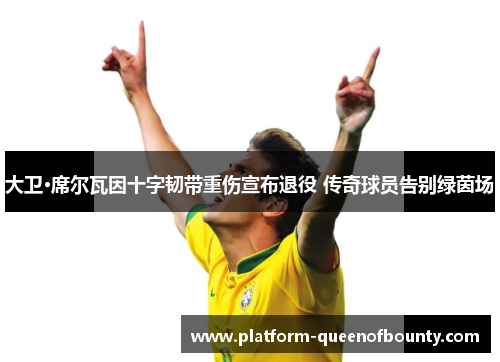 大卫·席尔瓦因十字韧带重伤宣布退役 传奇球员告别绿茵场 大卫·席尔瓦因十字韧带重伤宣布退役 传奇球员告别绿茵场